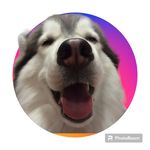 Dona Maya - @donamayaoficial - Instagram