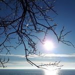 Donatella Donamaya Ocovich - @donamaya72 - Instagram