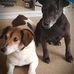 Donna Mayer - Facebook