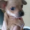 Donna Mcbride - @donna.mcbride - TikTok