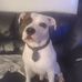 Donna Mcbride - Facebook
