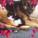 Donna Mcbride - @donnamcbride6884 - Instagram