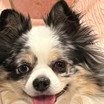 Donna McBride - @donnamcbride081964 - Instagram