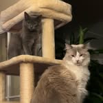 Donna McBride Wildman - @wildaboutwhiskeyandtango - Instagram