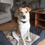 Donna Mccarthy - @donna.mccarthy.3158 - Instagram