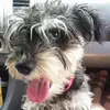 Dona Moore - @dona.moore6 - TikTok