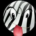 Donna Morse - @donnaleemorse - Instagram