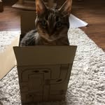 Donna Morse - @donna.morse.587 - Instagram