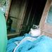 Donna Morse - Facebook