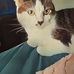 Donna Morse - Facebook