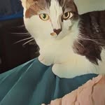 Donna Morse - @donna.morse.5602 - Instagram