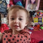 Donna Moss - @donnamoss - Instagram