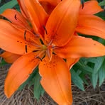 Donna Moss - Facebook