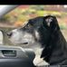 Dona Powers - Facebook