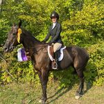 Donna Schaefer - @donnaschaefer63 - Instagram
