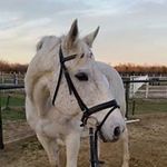 Donna Schaefer - @schaefer.donna - Instagram