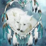 Donna Schaefer - @donnaschaefer351 - Instagram