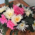 Donna Schaefer - @do.nna9458 - Instagram