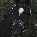 Donna Schaefer - @donna.schaefer.5686 - Instagram