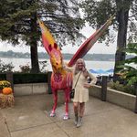 Donna Shipley Schaefer - @donnaschaefer72 - Instagram