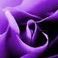 Dona Sweet - Facebook