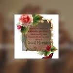 Dona Taylor - @dona.taylor.5 - Instagram