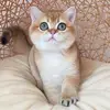 Donat Ruel - @donat.ruel - TikTok
