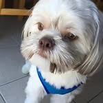 Donna True - @donnatrue47 - Instagram