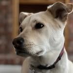 Dona Walker - @dbw99.7587 - Instagram