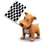 Dona Ward - @petstopclub - Instagram