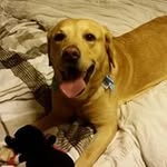 Donna Warren - @donna.warren.334 - Instagram