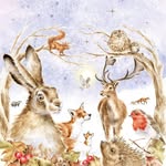 Donna Warren - @donna.warren.568 - Instagram