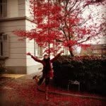 Donna Webb - @donnadanndesigns - Instagram