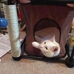 Donna Werner - @rorru199 - Instagram