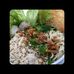 Dona Wise - Facebook