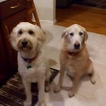 Donna Wise - @donna.wise.1088 - Instagram