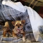 Donna Wolfe - @donna.wolfe.336 - Instagram