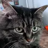 Donna Wright - @donna.wright718 - TikTok
