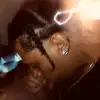 Carddona Official Mu - @youngdona - TikTok