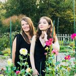 Dona Young - @dona3662young - Instagram