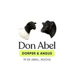 Cabaña Don Abel • Dorper & Angus - @donabel.uy - Instagram