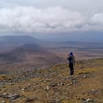 Donal Corbett - @doncorbett1 - Instagram