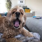 Donal Daly - @donal.daly.98 - Instagram