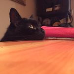Donal Fallon - @fallondonal - Instagram