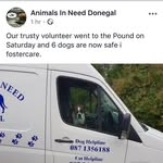 Donal Gallagher - @donal.gallagher.524 - Instagram
