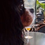 Donald Aaron - @donald.g.aaron - Instagram