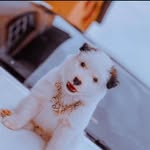 Donald Acosta - @donaldacosta48 - Instagram