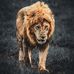 Don Amick - Facebook
