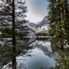 donaldaandreas - @donaldaandreas - TikTok