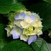 Donald Anson - Facebook
